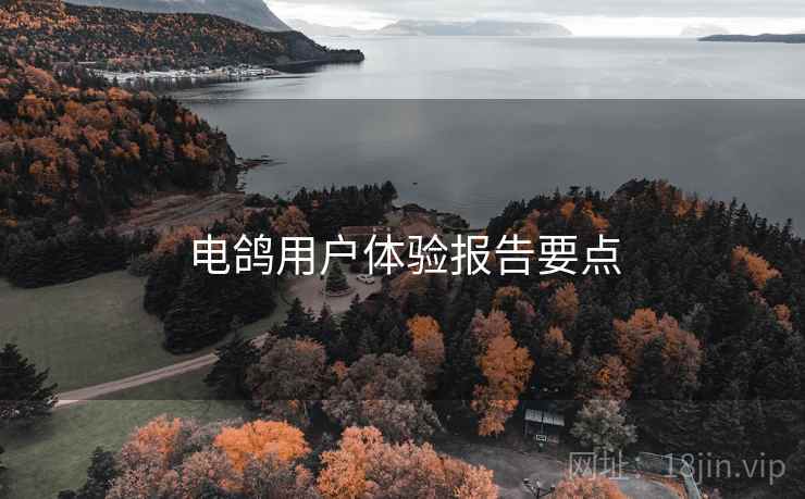 电鸽用户体验报告要点