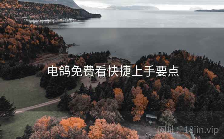 电鸽免费看快捷上手要点