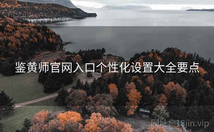 鉴黄师官网入口个性化设置大全要点