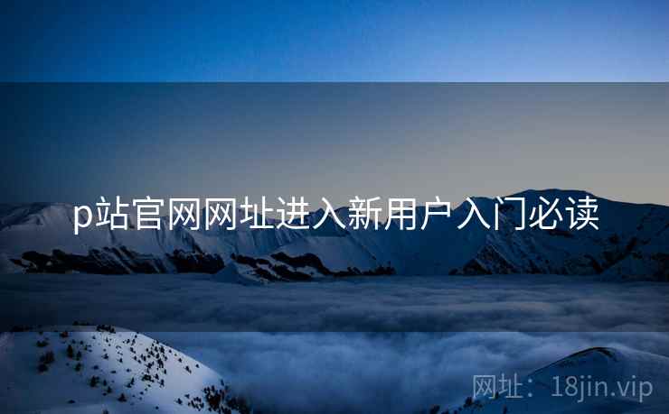p站官网网址进入新用户入门必读