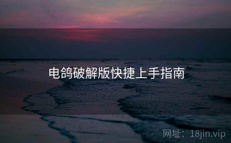 电鸽破解版快捷上手指南