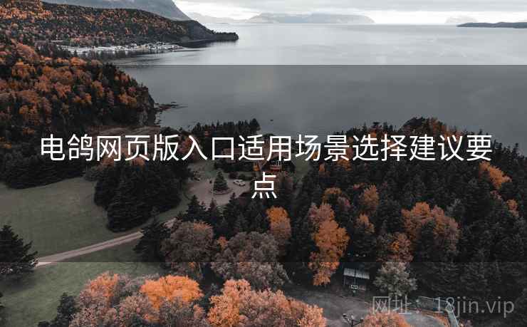 电鸽网页版入口适用场景选择建议要点