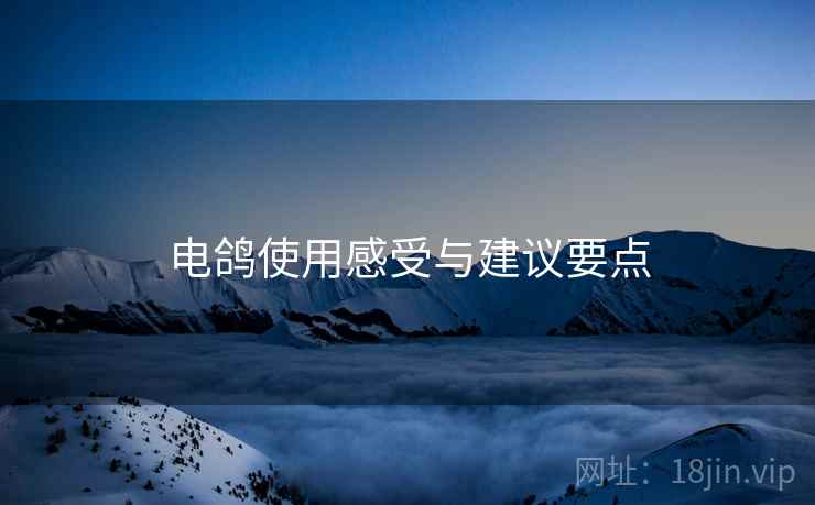 电鸽使用感受与建议要点