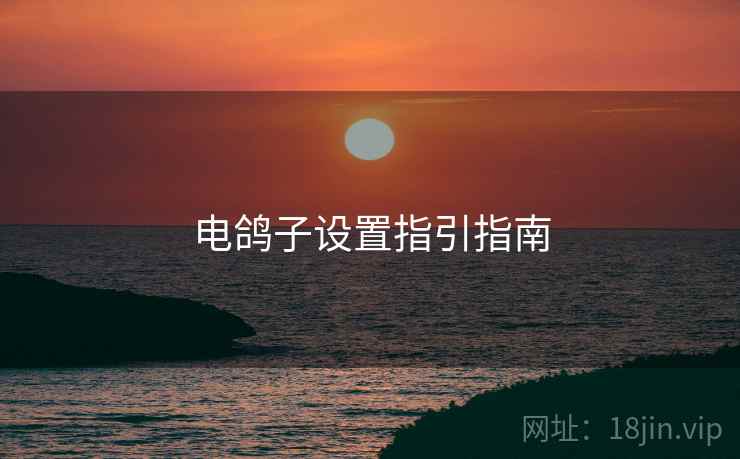电鸽子设置指引指南