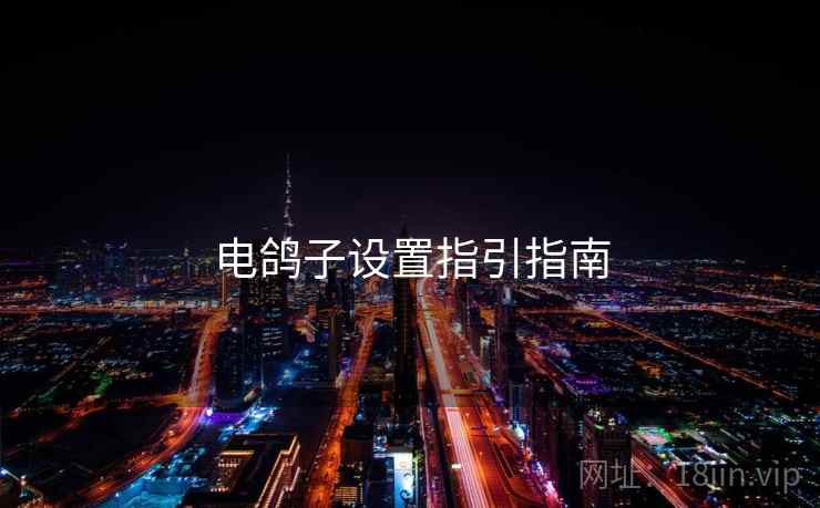 电鸽子设置指引指南