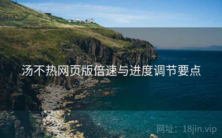 汤不热网页版倍速与进度调节要点