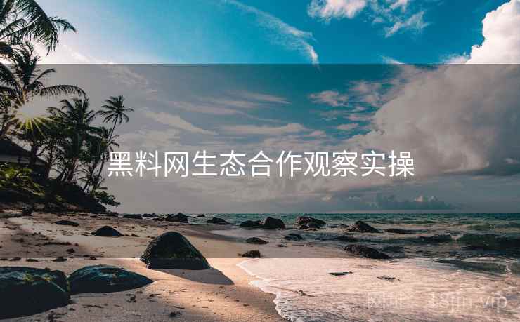 黑料网生态合作观察实操