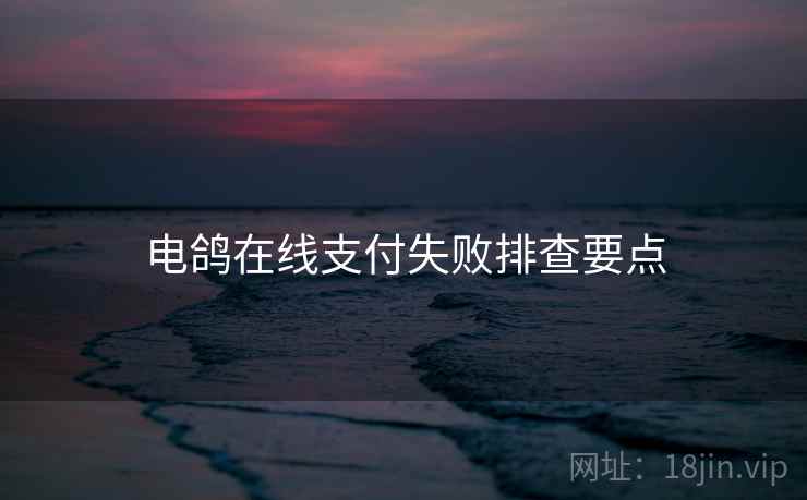 电鸽在线支付失败排查要点