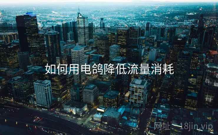 如何用电鸽降低流量消耗