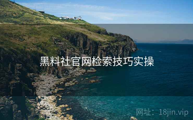 黑料社官网检索技巧实操
