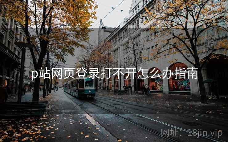p站网页登录打不开怎么办指南