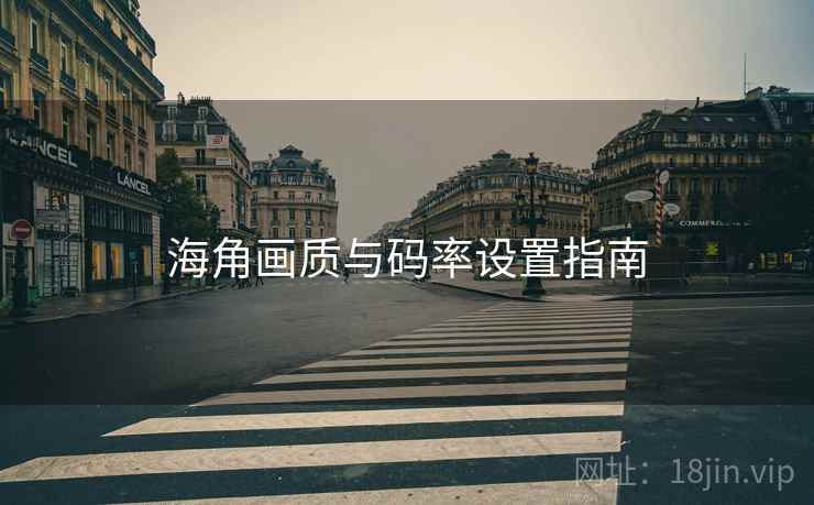 海角画质与码率设置指南