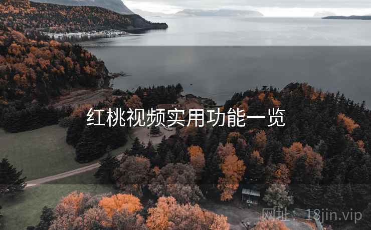 红桃视频实用功能一览